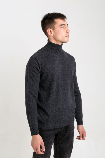 Купить водолазка из кашемира gobi. Цвет: Тёмно-коричневый, Серый , Чёрно-синий, Голубой, Тёмно-малахитовый, Графитовый, Коричневый, Бордовый , Меланж, Тёмно-серый
