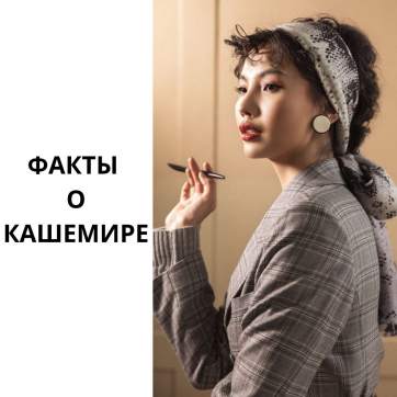 Факты о кашемире