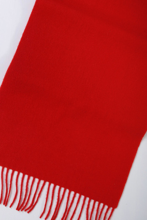 Шарф шерсть WDL62057 БлюСкай (180*30, 5500 красн)