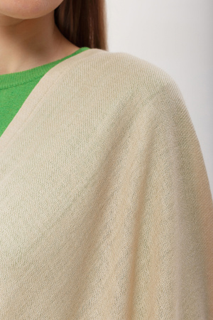 Шаль WA200001 (2АТ2112001А02500 (4112ch130)) Гоби (200*65, 02 бежев)