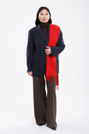 Шарф шерсть WDL62057 БлюСкай (180*30, 5500 красн)